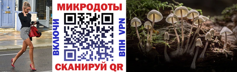 darknet клад Городище Псилоцибиновые грибы Magic Shrooms где купить kraken сайт
