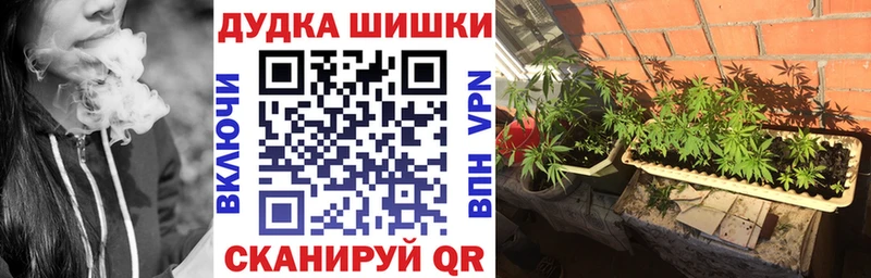 omg зеркало  Городище  Каннабис SATIVA & INDICA 